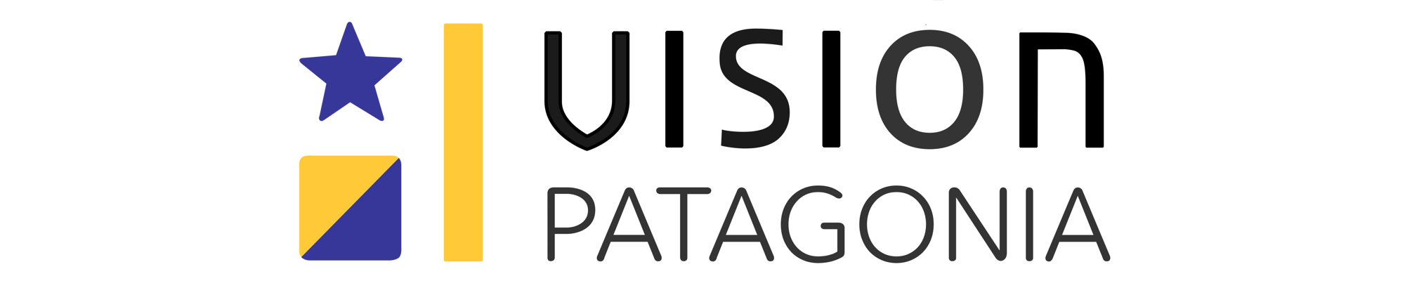 LOGO VISION PATAGONIA