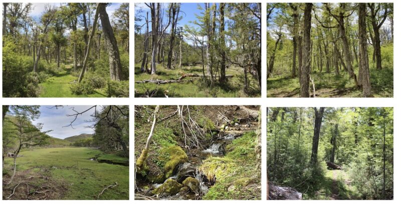 PREDIO 1.150,37 Ha LAGO NORTE COYHAIQUE Aysen