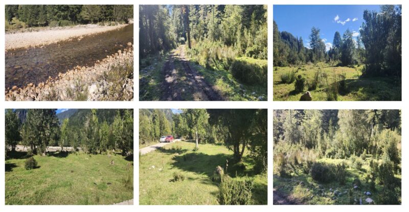 PREDIO 17 Ha ORILLA RIO CARACOLES Aysen
