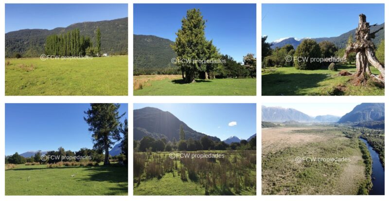PREDIO 390 Ha ORILLAS LAGUNA Y RIO LOS PALOS Aysen