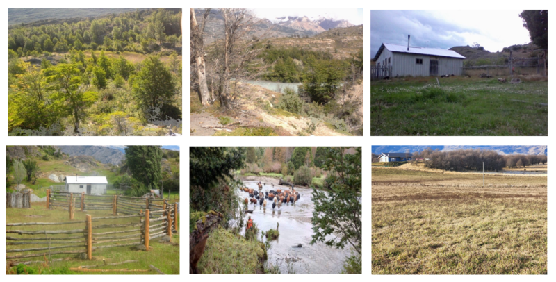 PREDIO 700 Ha EN RIO BLANCO AYSEN
