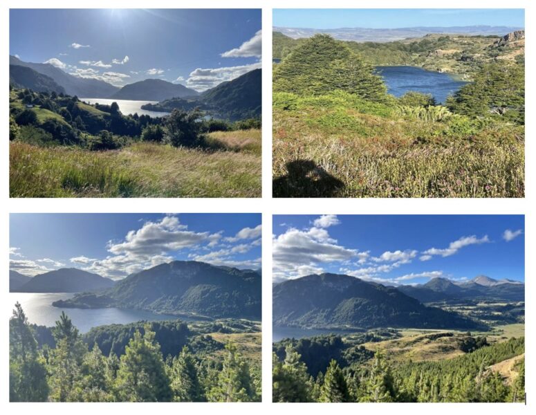PREDIO 180 Ha LAGO ATRAVESADO COYHAIQUE Aysen